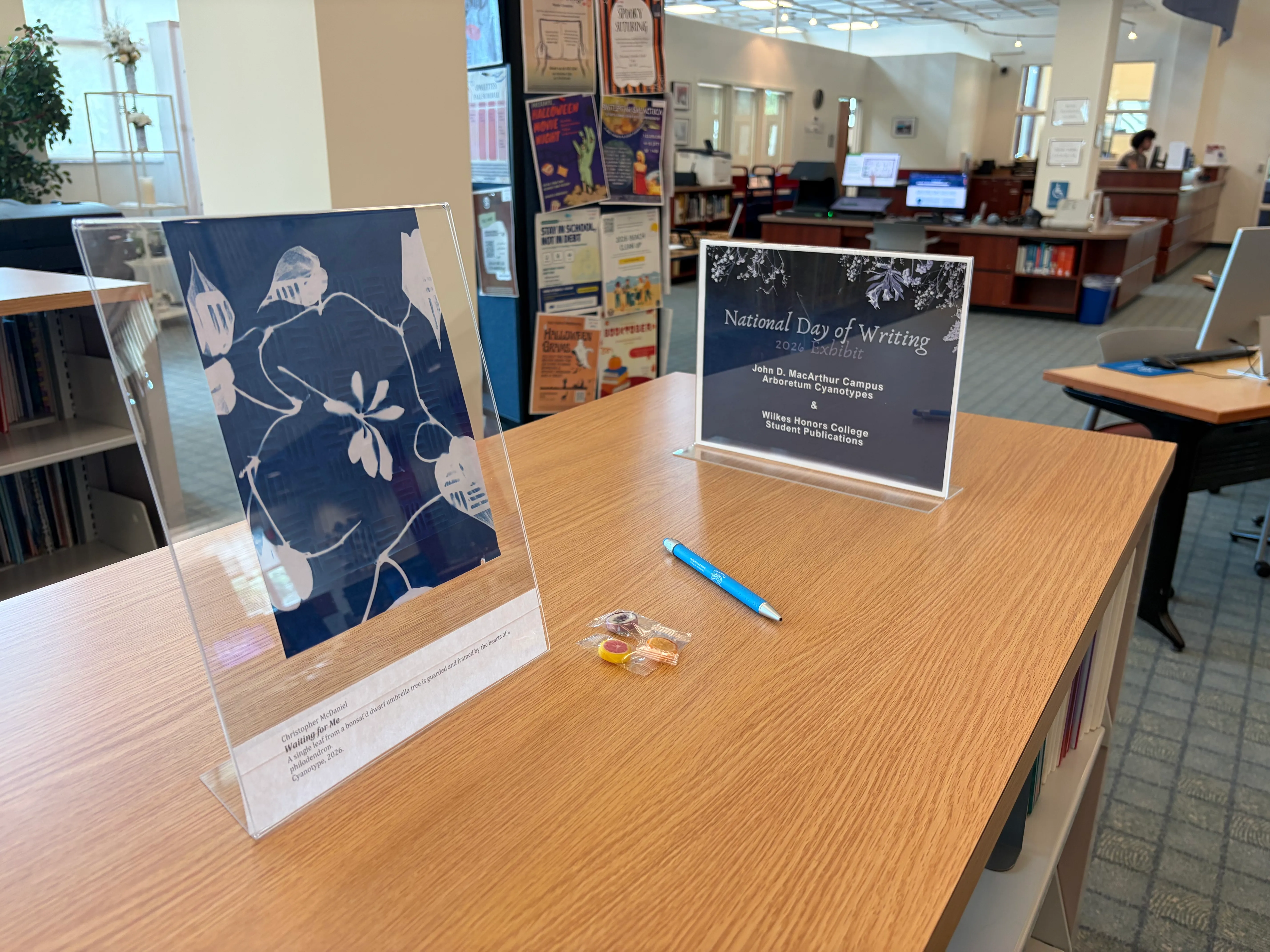 Prussian-blue botanical cyanotype print displayed in acrylic on a library table