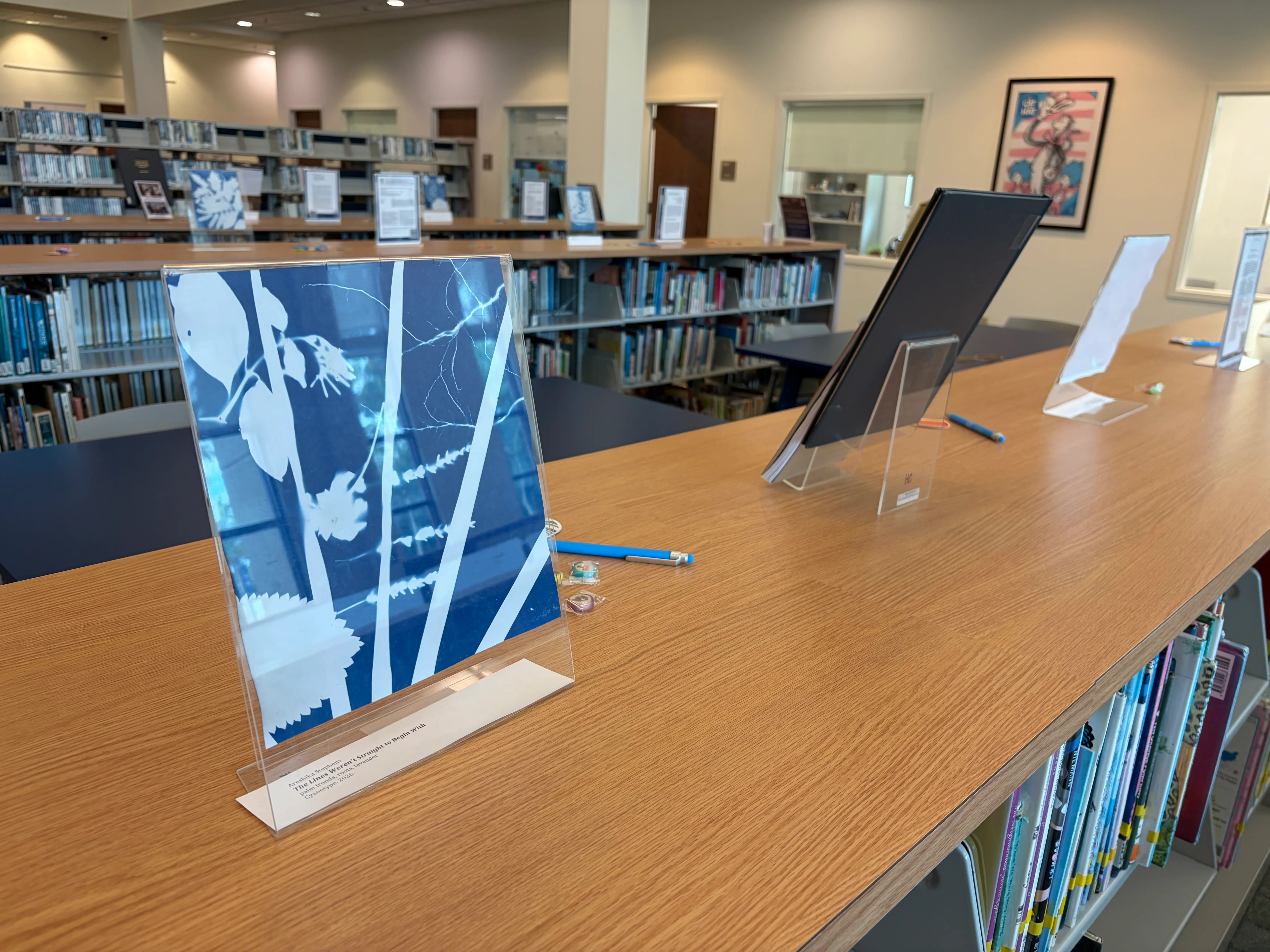 Cyanotype prints of leaves on display stands along library shelves