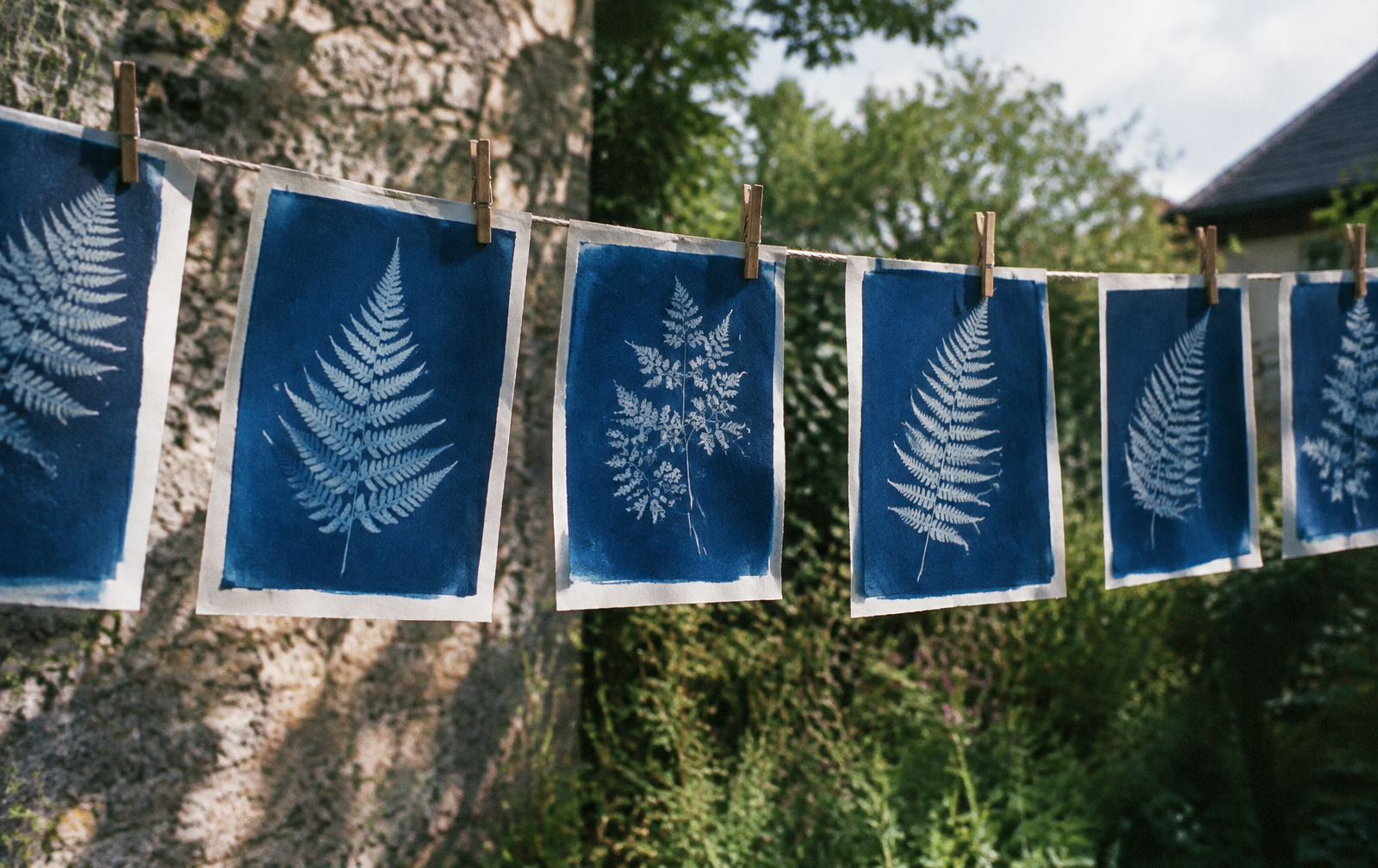 Prussian-blue cyanotype prints of fern leaves drying on a line outdoors